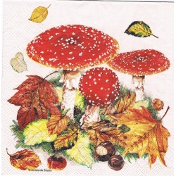 Serwetka -2309-  jesień , grzyby, muchomory